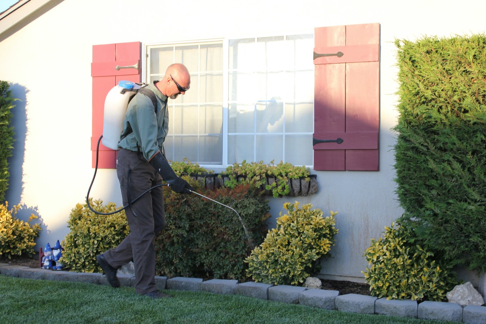 A pest control technician spraying around a house